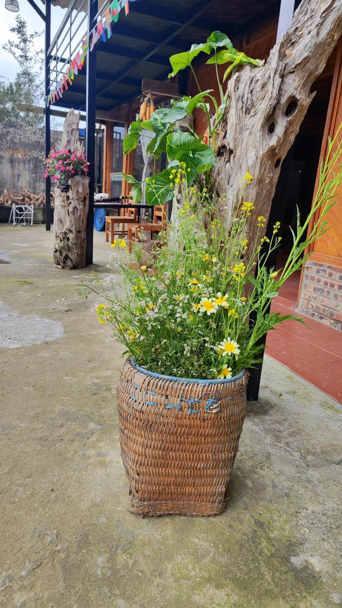 Tavan View Homestay Sa Pa Exterior photo